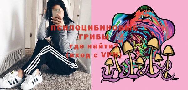 индика Алексеевка