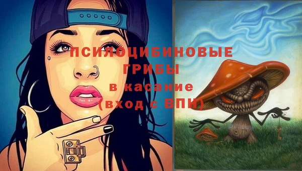 гидропоника Алзамай