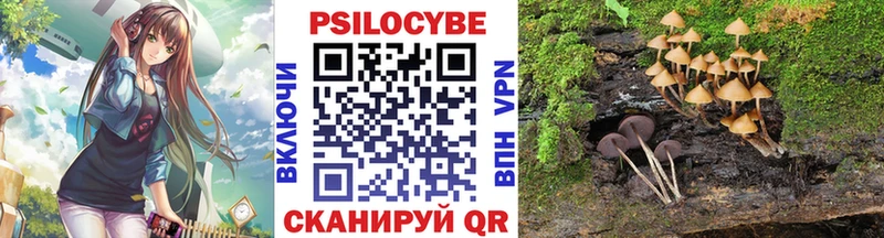 Галлюциногенные грибы мицелий  наркотики  Оленегорск 