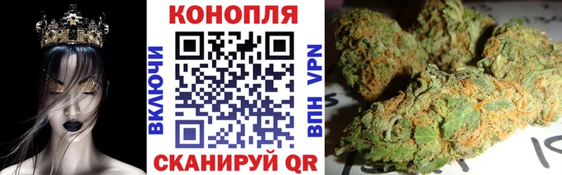 где найти наркотики  Оленегорск  Конопля индика 